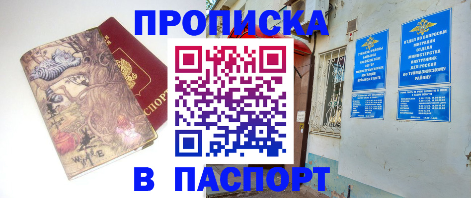 пропишу в квартире в Дубне